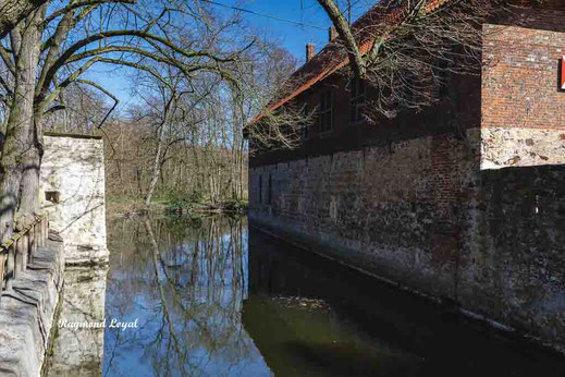 water castle vischering