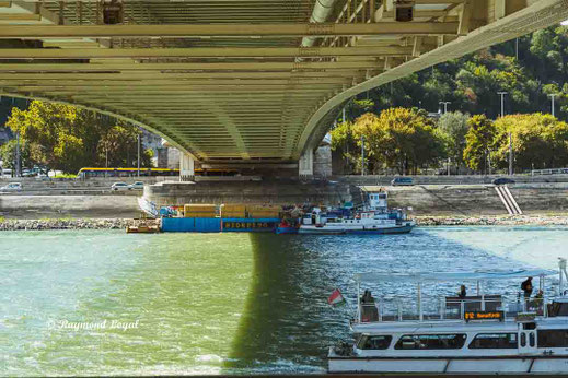 budapest elizabeth bridge