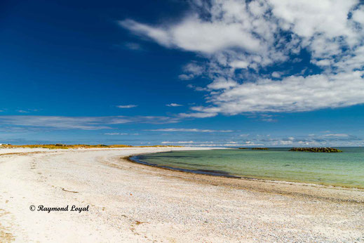 helgoland duene natur foto