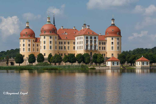 moritzburg castle dresden image