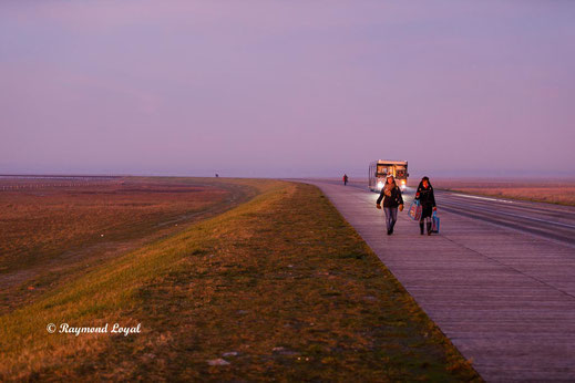 Mont Saint-Michel foto