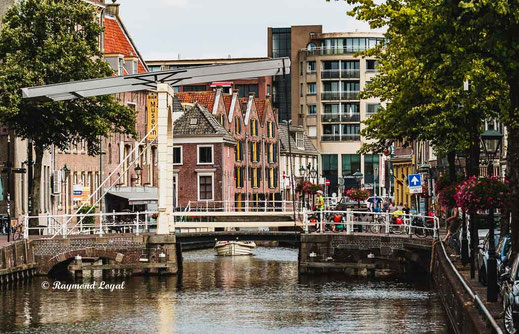 schapenbrug alkmaar