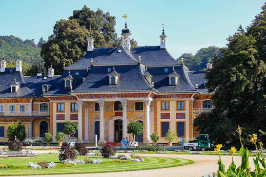 pillnitz palace and gardens