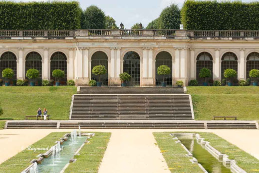 gross sedlitz schlossgarten sachsen