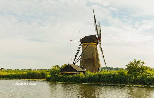 kinderdijk windmills image