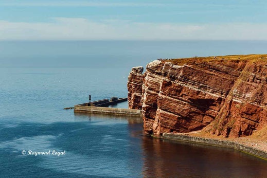 helgoland natur foto