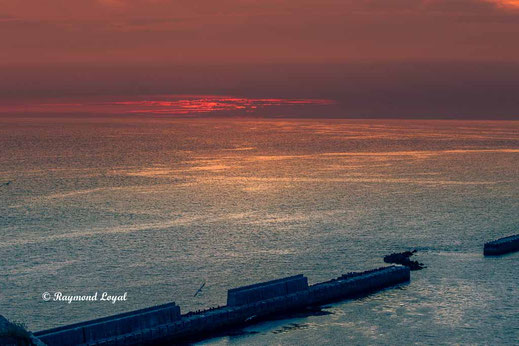 helgoland nature photography raymond loyal