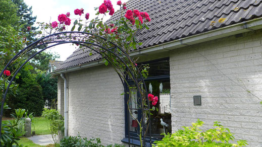 Seiteneingang zum geschützten Gartenbereich mit großer Terrasse