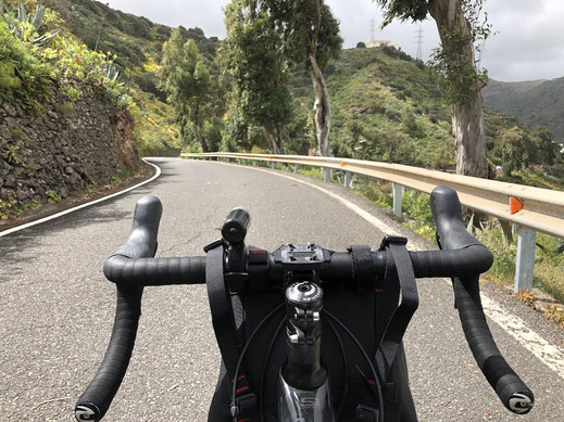 Cannondale Synapse Carbon, Gran Canaria, Berghuhn