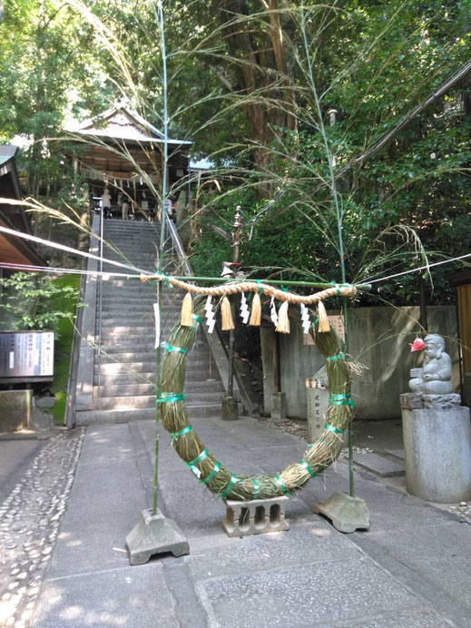 Photo by Masaharu Uchitani