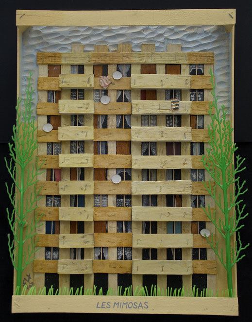 Les Mimosas, Format 46 x 62