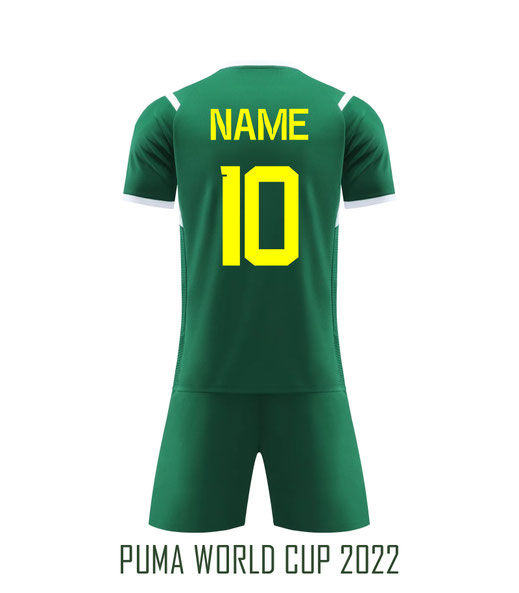 Puma World cup fonts