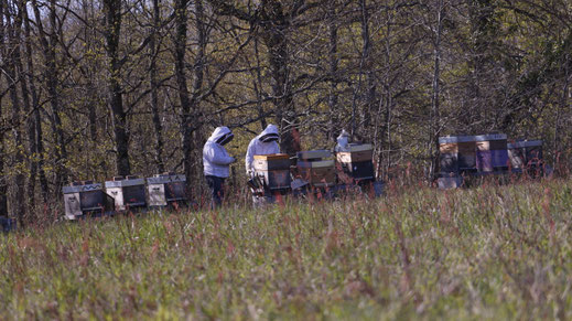 Accueil Paysan Centre Val-de-Loire - Accueil Paysan Centre Val de Loire