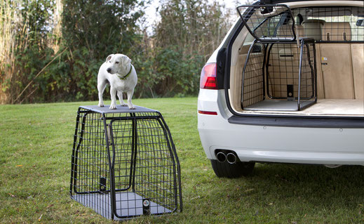 Hundebox, Hundetransportbox, Hund Auto, Hund, Heckgitter, Sicherheit