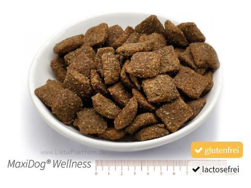 trockenfutter hund allergie