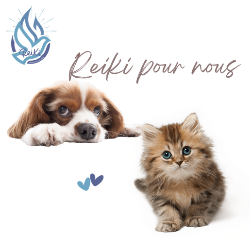 Reiki pour les animaux 