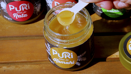 Miel de Kamahi en pot de Nouvelle-Zélande - Puri New Zealand