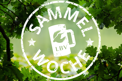 Flyer des LBV für die Sammelwoche