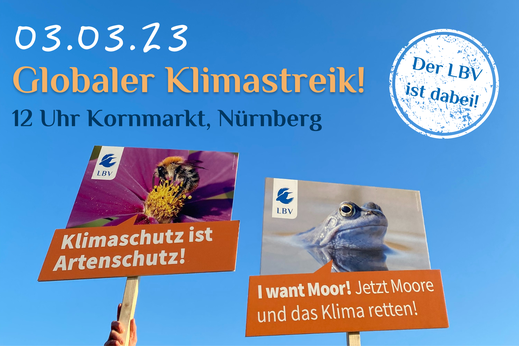 Flyer des LBV Globaler Klimastreik am 03.03.2023