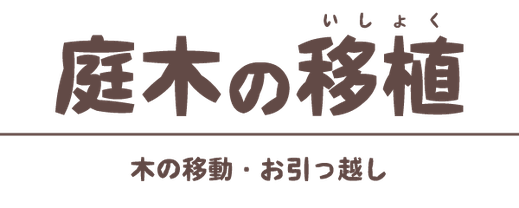 庭木や植木・シンボルツリーの移植・移し替え・移動・お引越｜浜松・湖西・磐田・豊橋