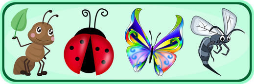 insectes