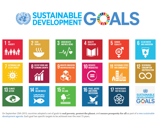 UN Sustainable Development Goals