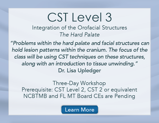 CST Level 3 "Integrating the Orofacial Structures"