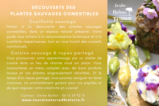 bon cadeau - plantes sauvages comestibles - cueillette sauvage - Val de Loire