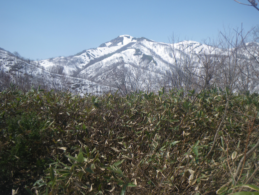 藪尾根の向こうに望む願経寺山、登ってみたい