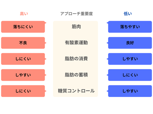 筋肉 有酸素運動 脂肪の消費 脂肪の蓄積 糖質コントロール