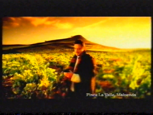 PUBLICIDAD (VINOS)