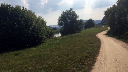 nach Veltheim