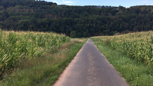 Auf dem Weg nach Heringen