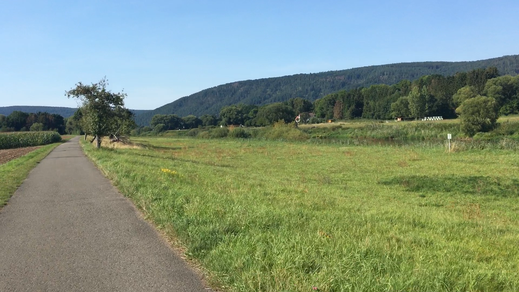 Vor Veckernhagen