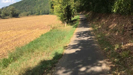 Vor Kleinvach