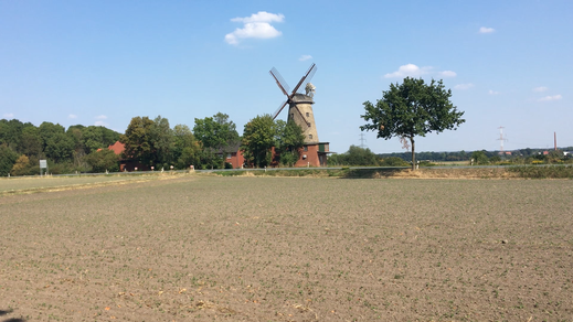 Pottmühle hinter Petershagen