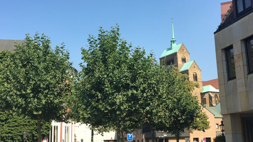 Mindener Dom