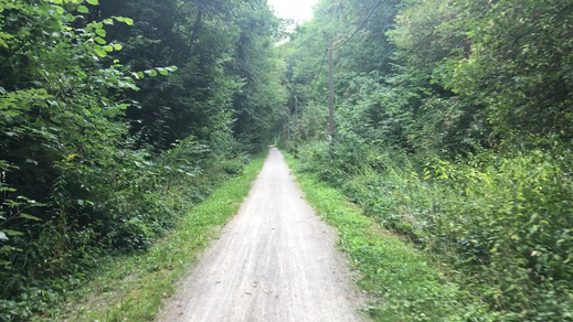 Hinter Buchenau,  vor Mihla