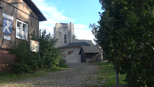 Burgruine Frankenstein