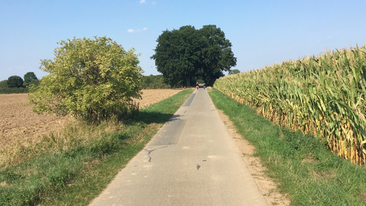 In der Nähe von Diethe