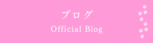 ブログリンク