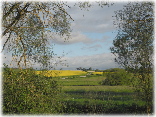 Das Tal der Brigach 