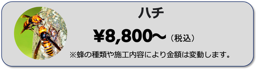 兵庫県,大阪府,京都府,奈良県,滋賀県のハチの駆除ならイッキグループ,