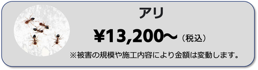 兵庫県,大阪府,京都府,奈良県,滋賀県のアリの駆除ならイッキグループ,