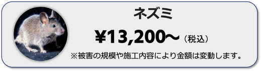 ネズミの駆除,安い