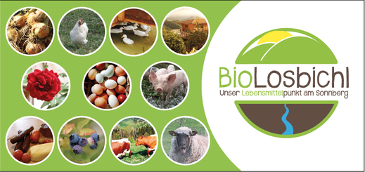 Foldergestaltung für Biolosbichl.at