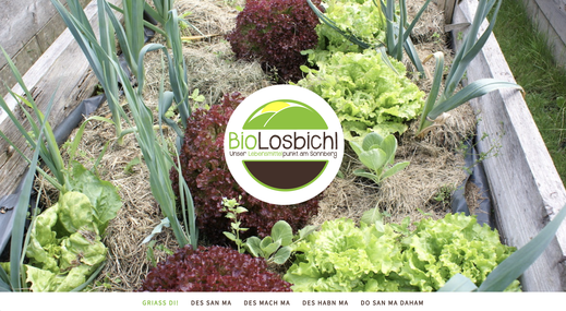 Webseitengestaltung: www.biolosbichl.at