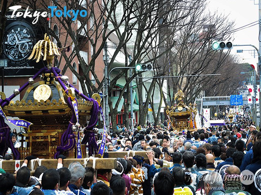 建国祭,奉祝神輿パレード, 表参道, 明治神宮, 連合渡御, 原宿