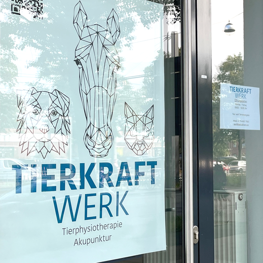 Hundeosteopathie Tierphysiotherapie in Hannover