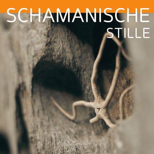 Plakat ‚Schamanische Stille‘ mit Fotografie einer verwitterten Holzoberfläche und sichtbaren Wurzeln. Schlichtes Design mit orangefarbener Kopfzeile
